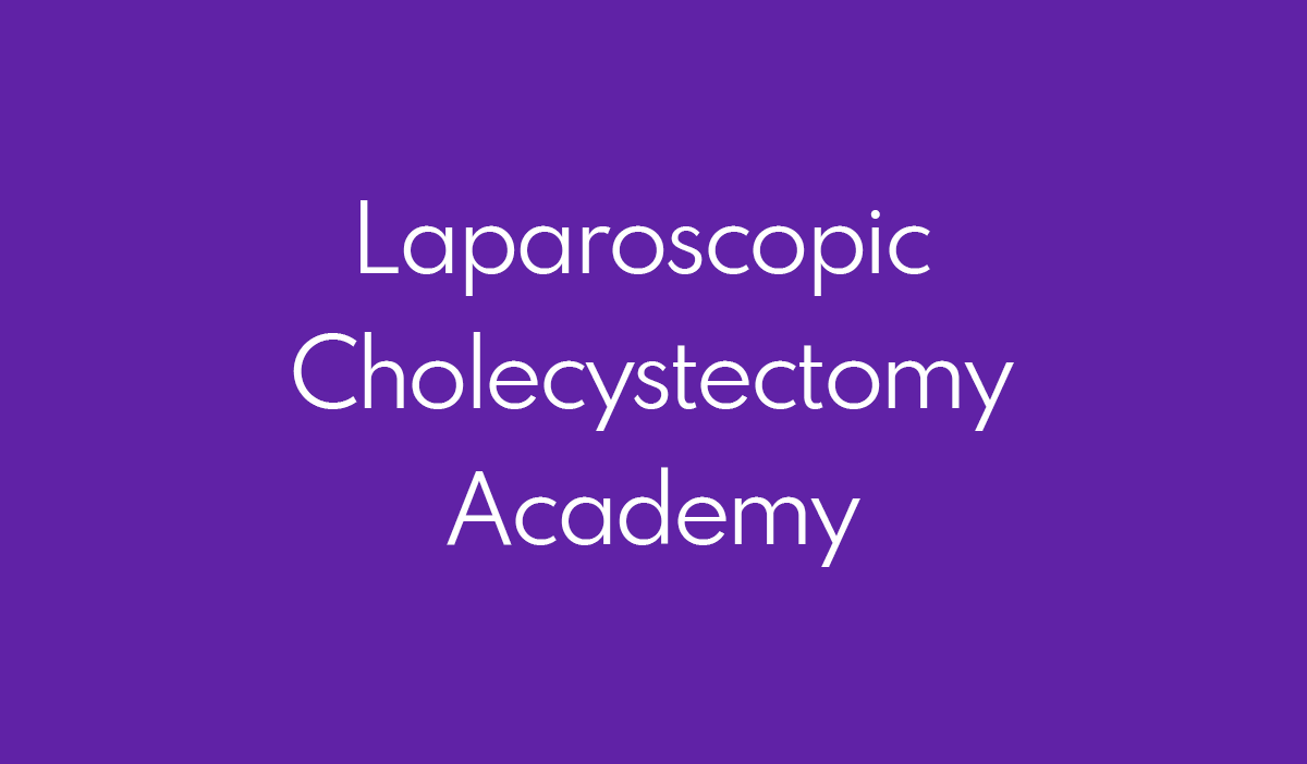 Purple background with white foreground text: LAPAROSCOPIC CHOLECYSTECTOMY ACADEMY
